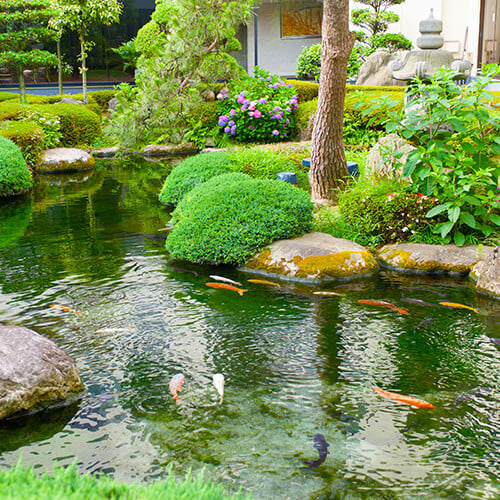 Feng Shui im Garten

