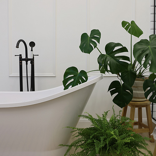 Eine Pflanze die neben einer Badewanne steht.